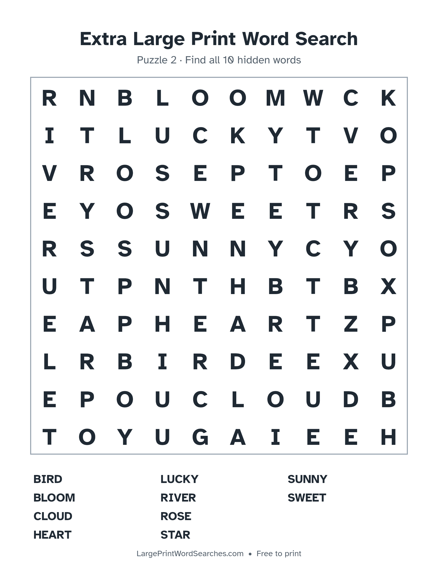 Extra Large Print Word Search puzzle 2: a 10 by 10 letter grid with 10 hidden words in large print