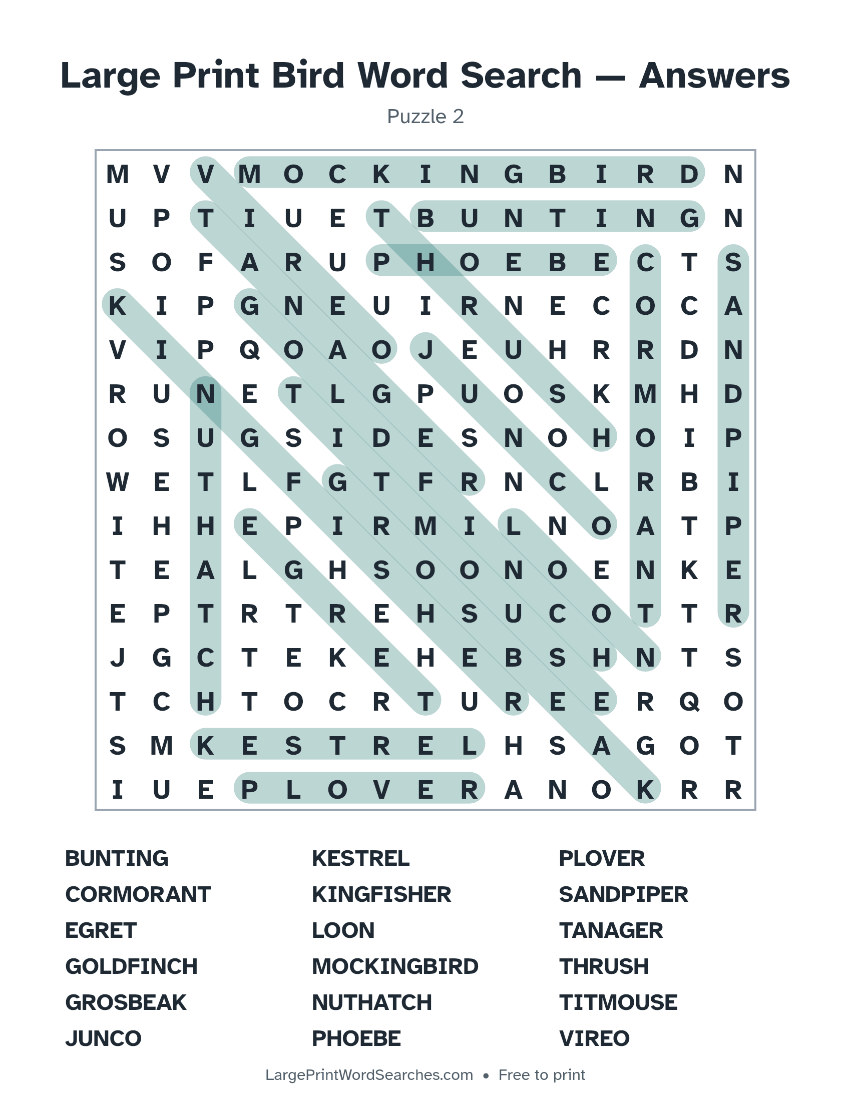 Answer key for large print bird word search puzzle 2 with every hidden word highlighted