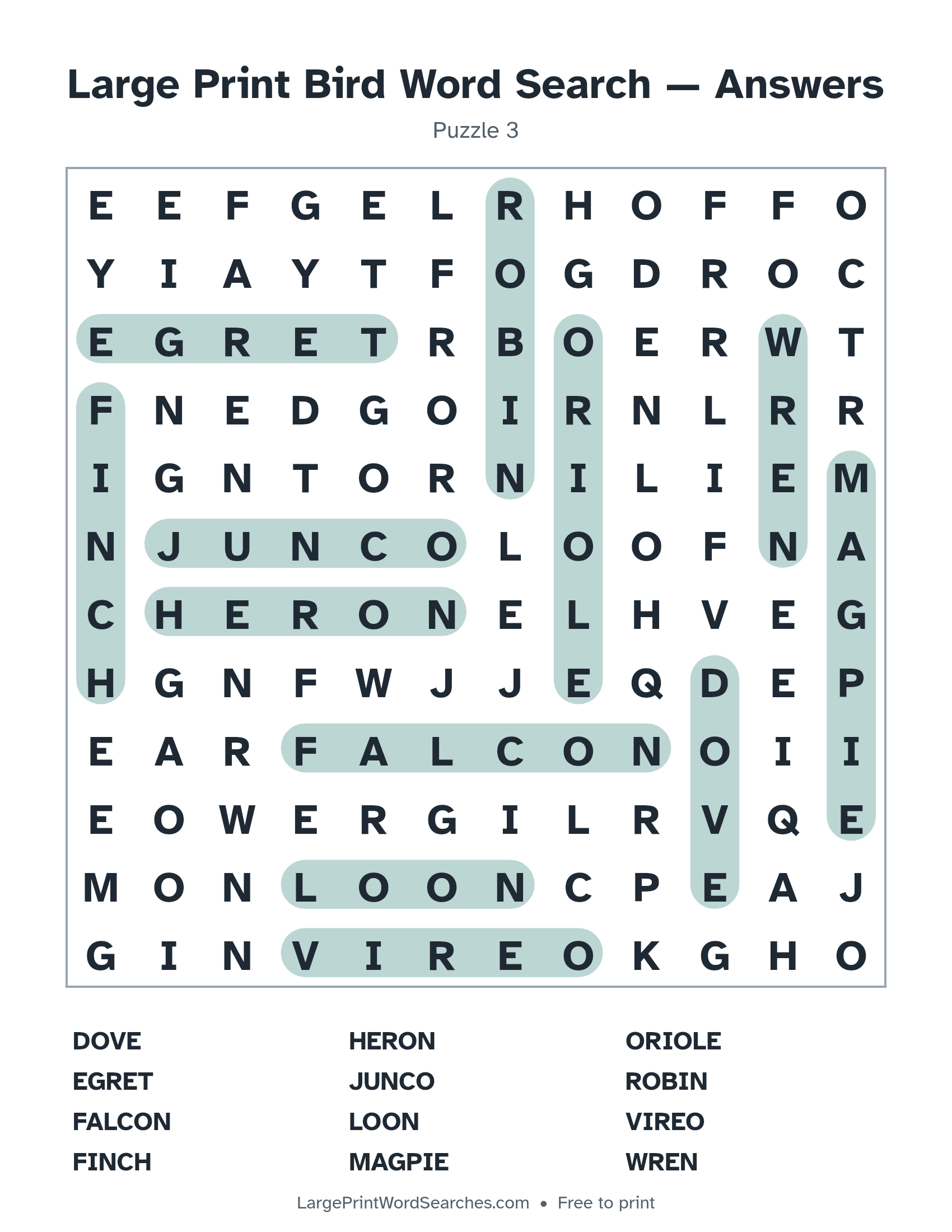 Answer key for large print bird word search puzzle 3 with every hidden word highlighted