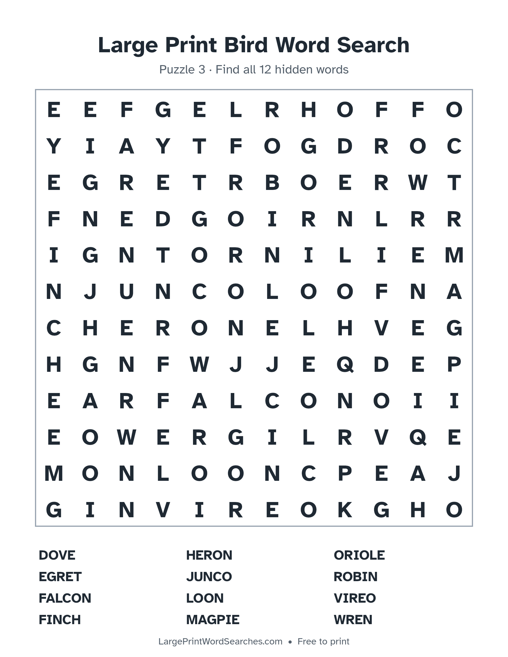 Large Print Bird Word Search puzzle 3: a 12 by 12 letter grid with 12 hidden words in large print