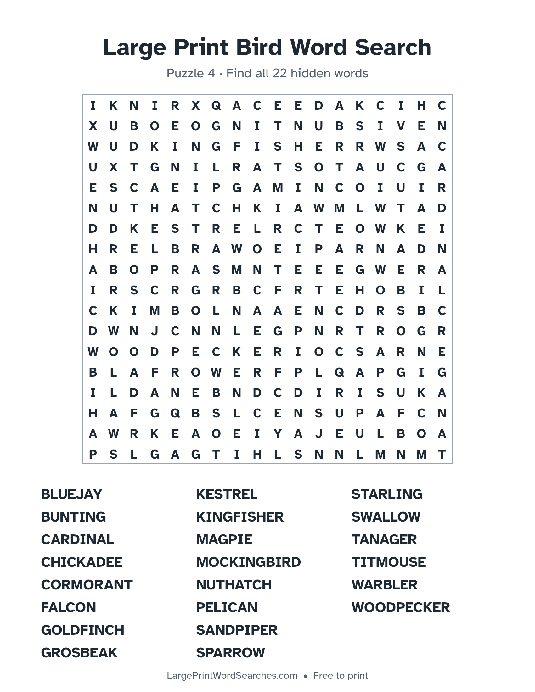 Large Print Bird Word Search puzzle 4: a 18 by 18 letter grid with 22 hidden words in large print