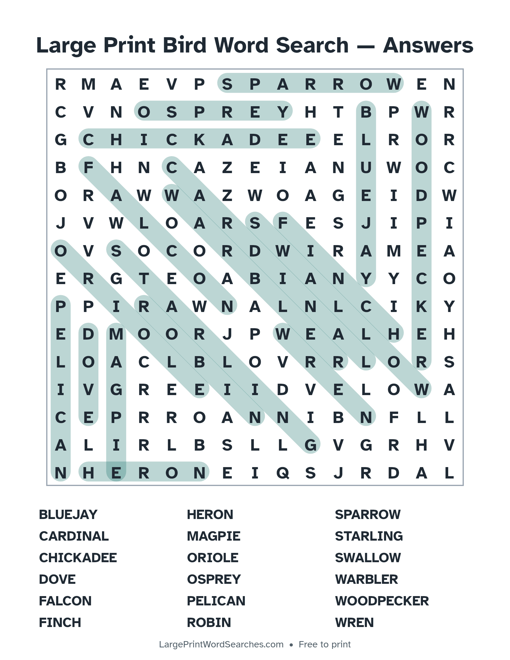 Answer key for large print bird word search puzzle 1 with every hidden word highlighted