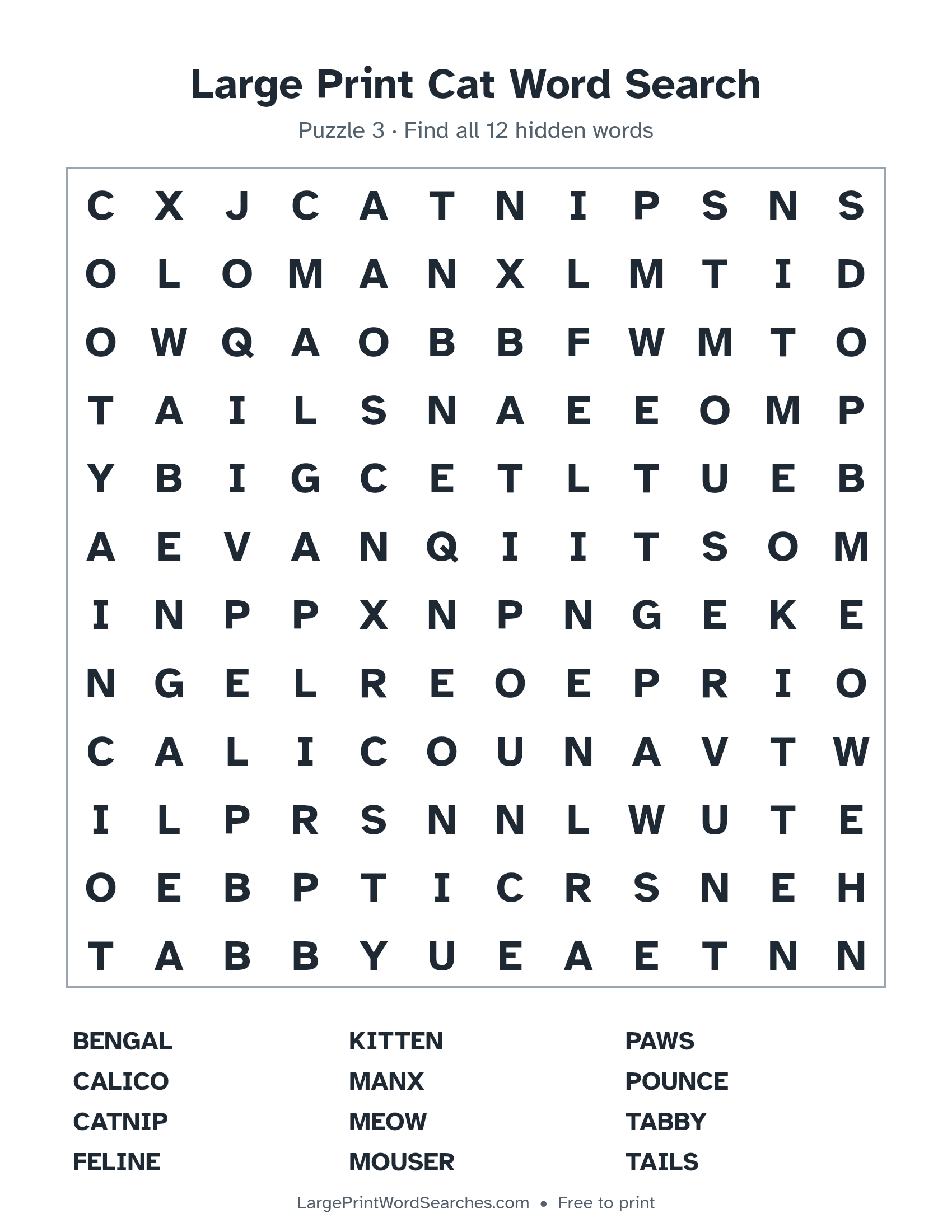 Large Print Cat Word Search puzzle 3: a 12 by 12 letter grid with 12 hidden words in large print