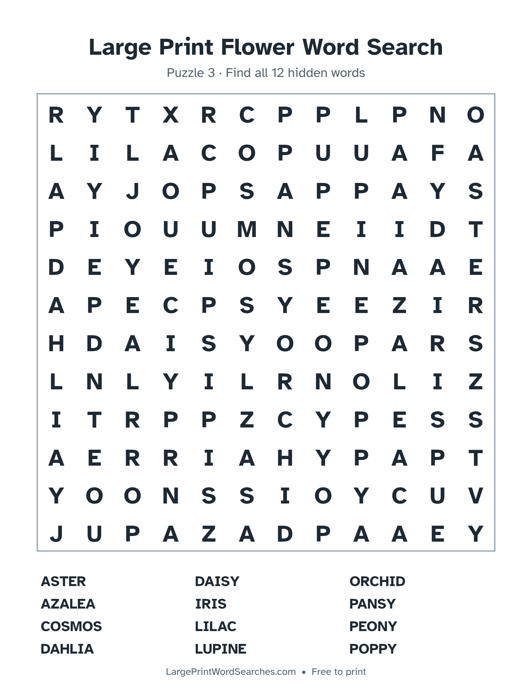 Large Print Flower Word Search puzzle 3: a 12 by 12 letter grid with 12 hidden words in large print