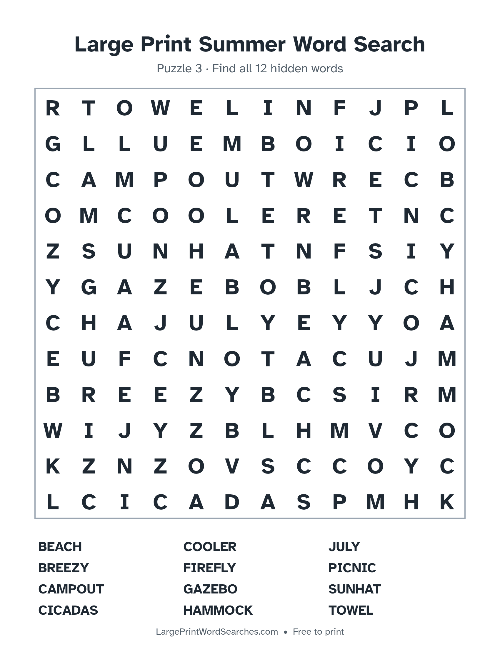 Large Print Summer Word Search puzzle 3: a 12 by 12 letter grid with 12 hidden words in large print